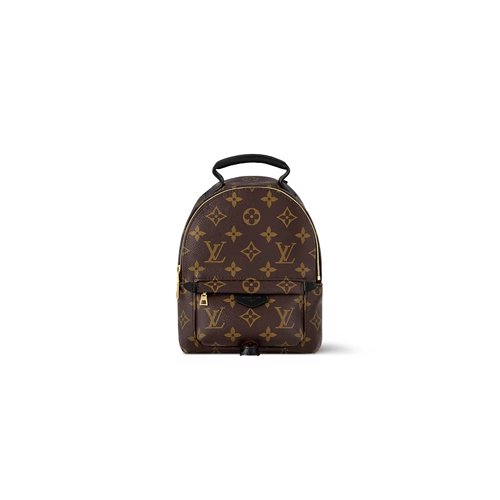 Louis Vuitton Palm Springs Mini backpack in Monogram canvas
